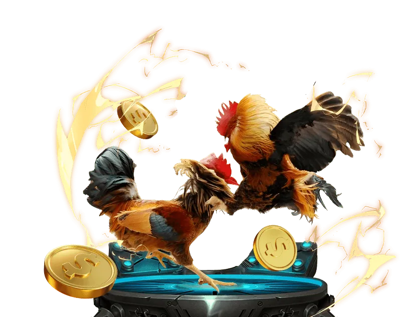 Thông tin cá cược có trách nhiệm soco live